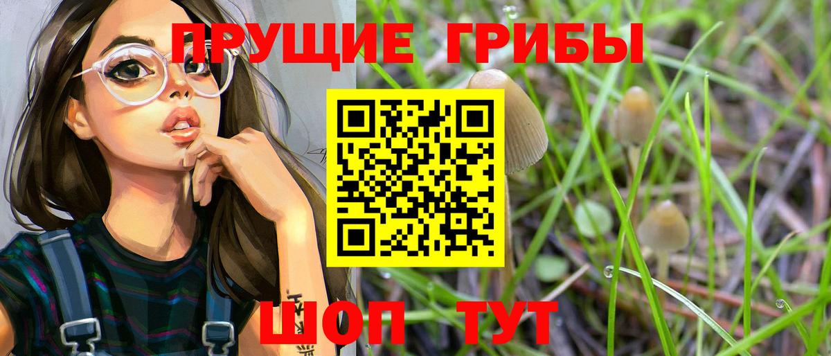 Киров  Псилоцибиновые грибы Psilocybine cubensis  Вход с VPN 