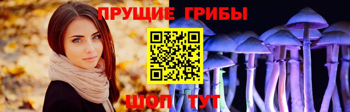 Псилоцибиновые грибы мицелий Киров
